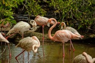 San Bernardo Isles