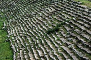 28-aphrodisias
