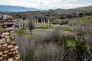 42-aphrodisias