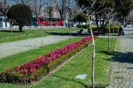 29-hippodrome