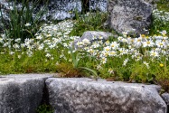 21-priene