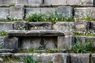 25-priene