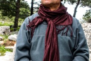 31-priene