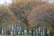 20-Chernihiv