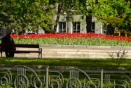 23-Chernihiv