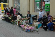 18-FoodMarket
