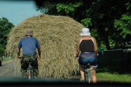 03-People