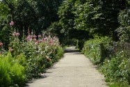 06-Sumy