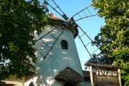 19-Sumy