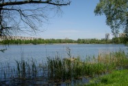 36-Sumy