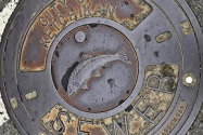 Ketchican AK
