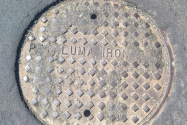 Petaluma CA