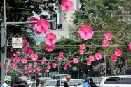 012-hcmc