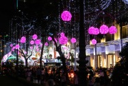 019-hcmc