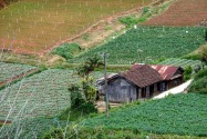 042-dalat