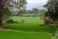 068-quynhon