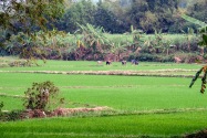 069-quynhon