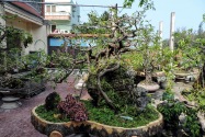 081-quynhon