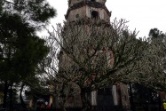 136-huepagoda