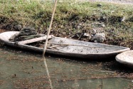 150-cucphuonnp