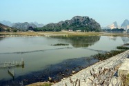 155-cucphuonnp