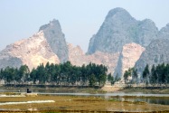 156-cucphuonnp