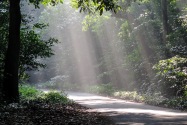 163-cucphuonnp