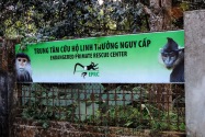 164-cucphuonnp