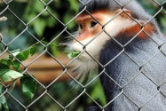 167-cucphuonnp