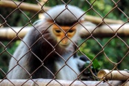 168-cucphuonnp