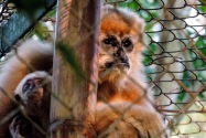170-cucphuonnp