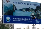 179-catbaisle