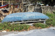 182-catbaisle