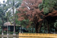 228-hanoi