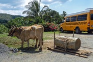 Viñales