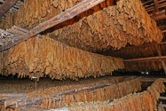 Viñales
