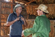 Viñales