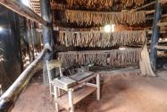 Viñales