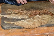 Viñales