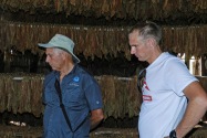 Viñales