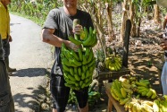 Viñales