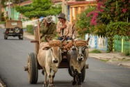 Viñales