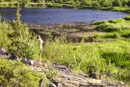 10-LillyLake