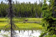 03-Wrangell.jpg