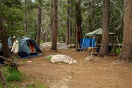 Yosemite NP, CA
