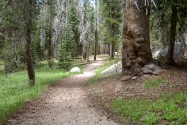 Yosemite NP, CA