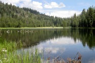 Yosemite NP, CA