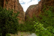 Zion NP, UT