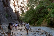 Zion NP, UT