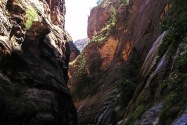 Zion NP, UT